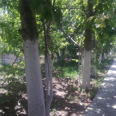 Lucy Holiday Home Yerevan Exterior foto