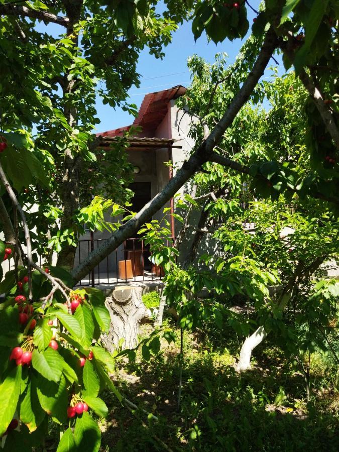 Lucy Holiday Home Yerevan Exterior foto